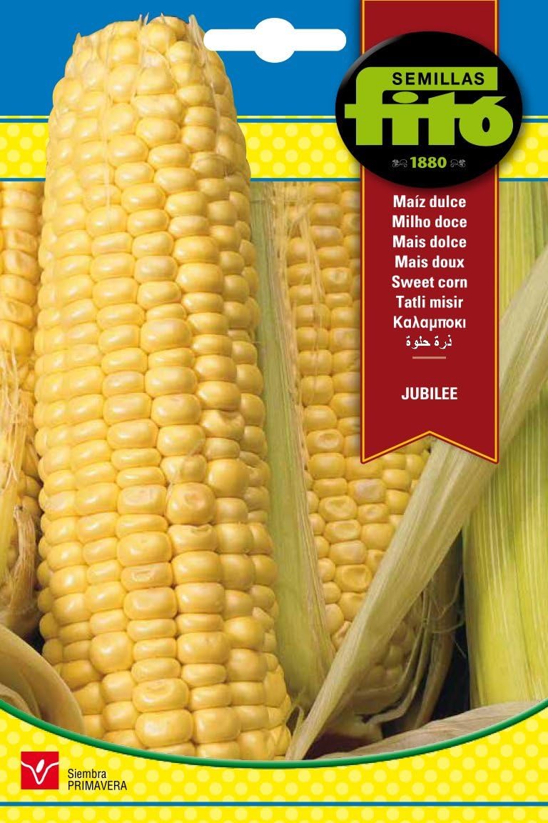 Fito Sweet Corn Jubilee Seeds for Planting, Premium Vegetable Seeds for Indoor & Outdoor Gardening, High Yield Sweet Corn Variety, Fast Growing Corn Plants for Home Garden Fresh Cooking & Healthy Meals - Image 1