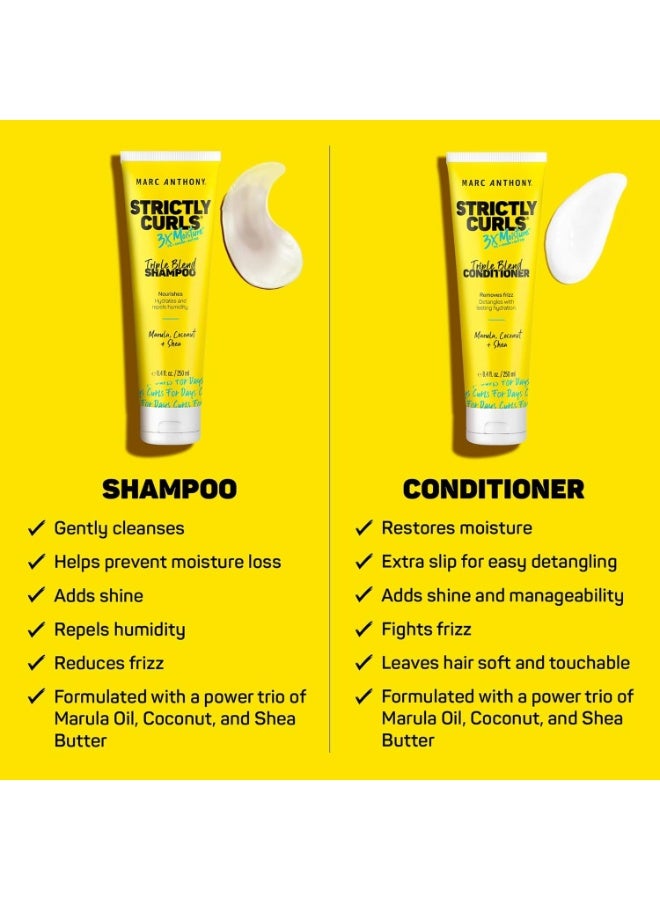 مارك أنتوني شامبو وبلسم Strictly Curls 3x Moisture Deep لتحديد تجعيد الشعر ومضاد للتجعد - زبدة الشيا وزيت المارولا والصبار وزيت جوز الهند - لون خالٍ من الكبريتات وآمن للشعر الجاف والتالف والمجعد - Image 2