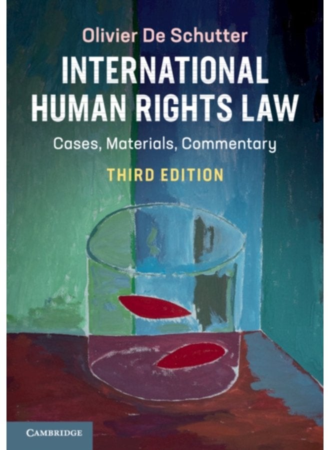 International Human Rights Law - Paperback