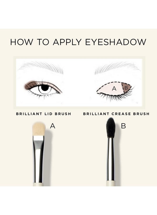 HALEYS Crease Eyeshadow Brushmedium Fluffy Tapered Brushsofteasy Blending Makeup Toolseamlessmultitasking Makeup Brush For Cream And Powderhighend Synthetic Bristlesvegan + Cf - Image 3