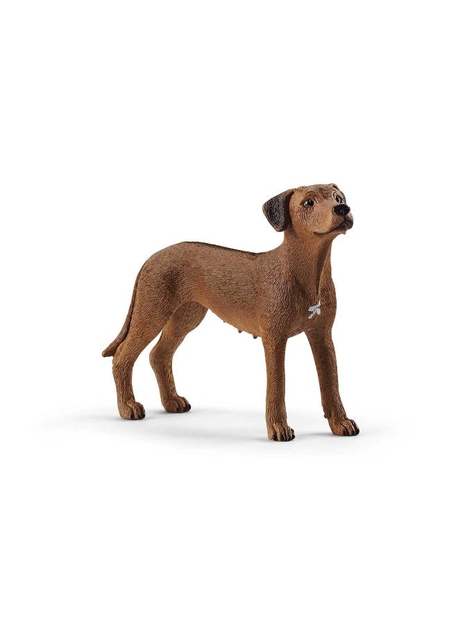 Schleich Rhodesian Ridgeback Figure