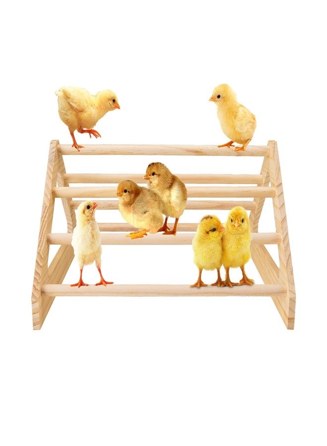 Thcbme مجثم دجاج خشبي مثقوب، مناسب للدواجن والديكة والطيور والببغاوات - Image 2