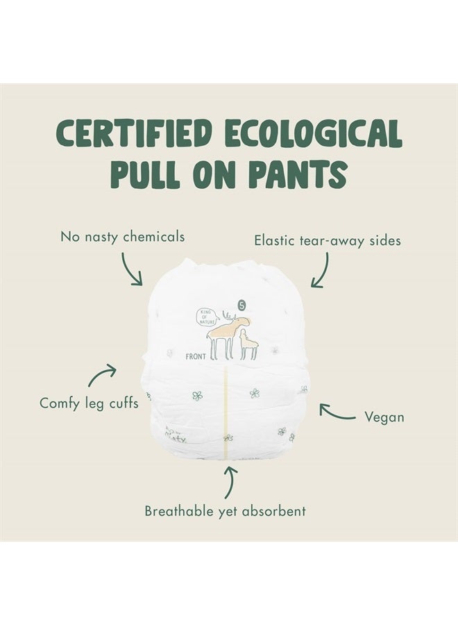 ECO by Naty سراويل تدريب - خالية من المواد الكيميائية ومضادة للحساسية، عالية الامتصاص وصديقة للبيئة للسراويل التدريبية للأولاد والبنات - الحجم (5) 3T-4T (26-40 رطل) - 80 قطعة - Image 2
