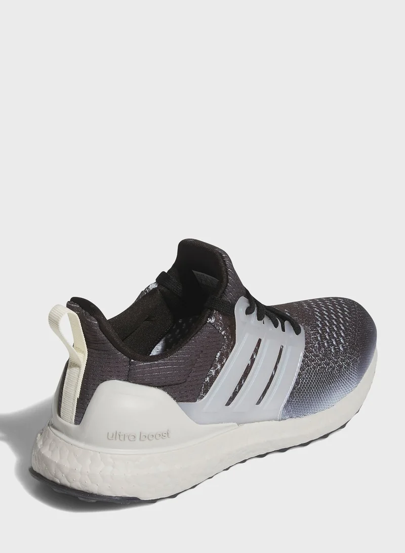 Adidas Ultraboost 1.0 W Mi