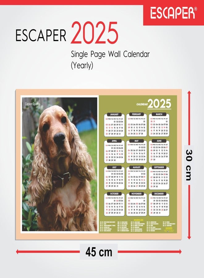 ESCAPER تقويم حائط للكلاب من إسكيبر لعام 2025 (45 × 30 سم)، تقويم حائط للجراء لعام 2025، تقويم حائط للكلاب الأليفة لعام 2025، تقويم حائط للجراء اللطيفة لعام 2025، تقويم حائط للكلاب اللطيفة لعام 2025، تقويم رأس السنة - Image 2