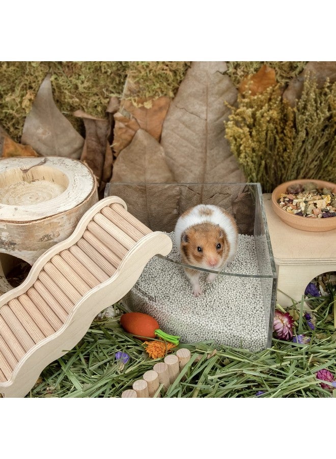نيتينجيل رمل نايت أنجل للتدريب على استخدام المرحاض - حمام رمل للهامستر للهامستر القزم السوري والجربوع والفئران والليمون والديجوس أو غيرها من الحيوانات الأليفة صغيرة الحجم (1.4 لتر × 2 - ملصق أرجواني) - Image 5