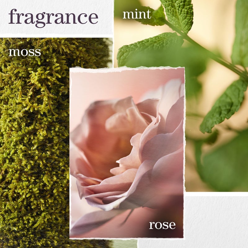 PUREOLOGY بلسم بيوولوجي هيدرات شير المغذي | للشعر الناعم، الجاف، المعالج بالألوان | خالي من الكبريتات | نباتي - Image 5