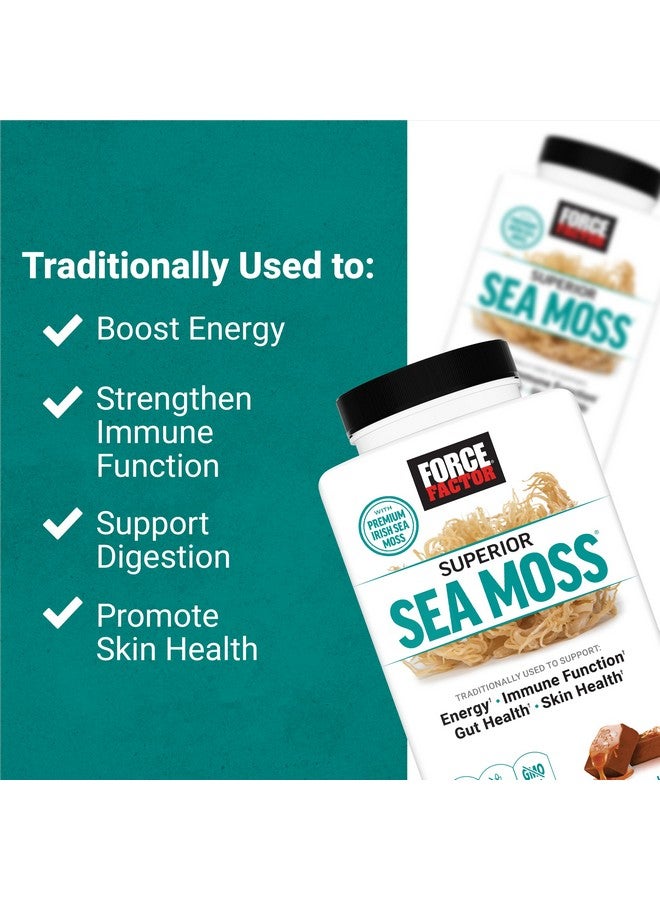 فوريس فاكتور فورس فاكتور، طحالب بحرية فاخرة، طحالب بحرية أيرلندية فاخرة لدعم الطاقة، ووظيفة المناعة، وصحة الأمعاء، وصحة الجلد، غير معدلة وراثيًا، وخالية من الغلوتين، بنكهة الكراميل المملح، 60 قطعة مضغ ناعمة - Image 2