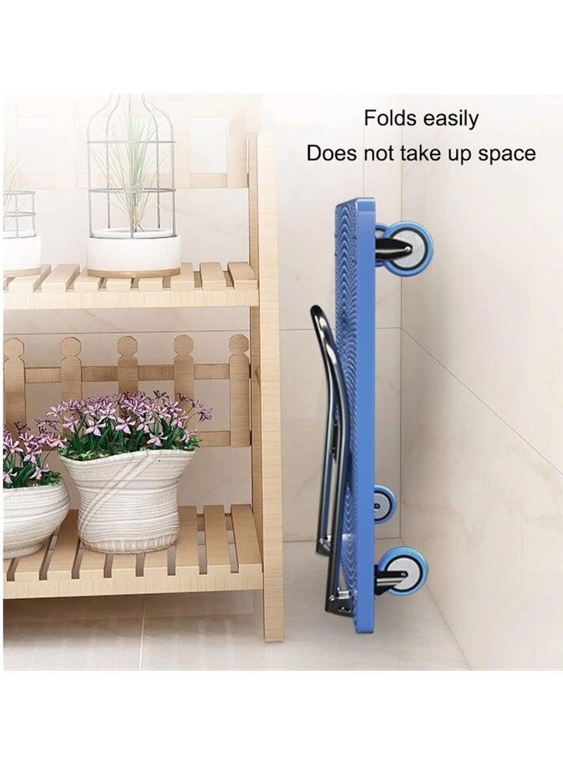 Platform Trolly 300kgs - Image 3