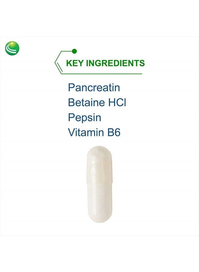 Nutra BioGenesis PanZyme - B Vitamins, Betanine HCl, and Pancreatin as Digestive Enzymes for Digestive Health - 180 Capsules - Image 3