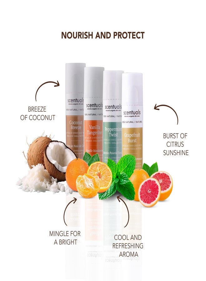 Scentuals Lip Balm Set of 4, Made with Shea Butter, Cocoa Butter, Avocado & Jojoba oil, Beeswax, Moisturizing Lip Care & Hydration, Cruelty Free, Natural Lip Conditioner 4 psc - Image 2