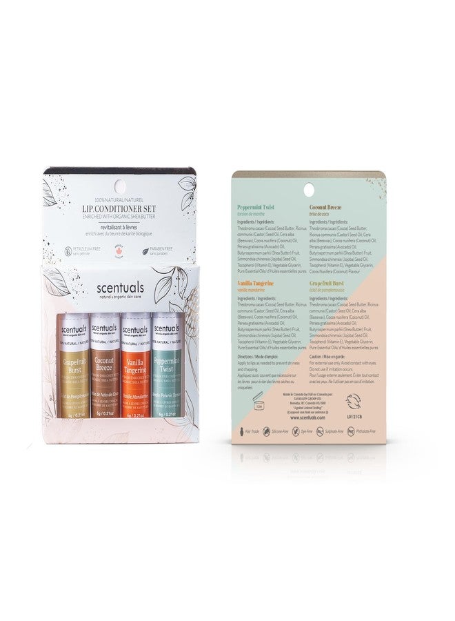 Scentuals Lip Balm Set of 4, Made with Shea Butter, Cocoa Butter, Avocado & Jojoba oil, Beeswax, Moisturizing Lip Care & Hydration, Cruelty Free, Natural Lip Conditioner 4 psc - Image 3