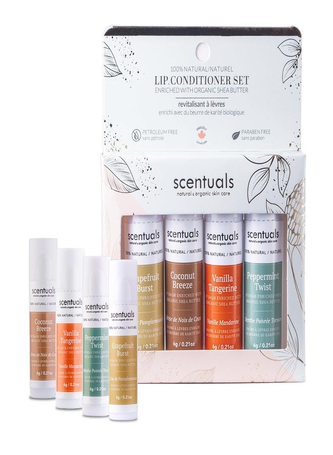 Scentuals Lip Balm Set of 4, Made with Shea Butter, Cocoa Butter, Avocado & Jojoba oil, Beeswax, Moisturizing Lip Care & Hydration, Cruelty Free, Natural Lip Conditioner 4 psc - Image 5