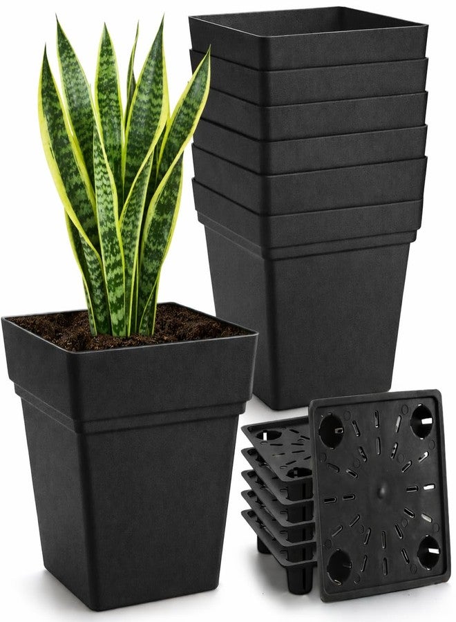 RooTrimmer مجموعة من 6 أحواض زراعة مربعة وأحواض مربعة للنوافذ مقاس 17 بوصة + 7 بوصة - 4 أحواض مربعة مزودة بفتحات تصريف و2 أحواض زهور مستطيلة، تصميم ذاتي الري، خالية من مادة BPA، مناسبة للخضراوات والأعشاب، للزراعة الداخلية والخارجية - Image 1