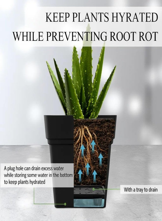 RooTrimmer مجموعة من 6 أحواض زراعة مربعة وأحواض مربعة للنوافذ مقاس 17 بوصة + 7 بوصة - 4 أحواض مربعة مزودة بفتحات تصريف و2 أحواض زهور مستطيلة، تصميم ذاتي الري، خالية من مادة BPA، مناسبة للخضراوات والأعشاب، للزراعة الداخلية والخارجية - Image 2