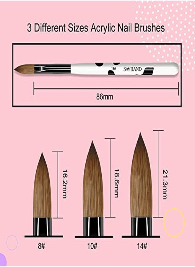 Saviland - 3Pcs Acrylic Nail Brush Set, Size 8/10/14 Kolinsky Acrylic Nail Brushes For Acrylic Application, Nail Extension With Black & White Handle For Beginner & Professional - Image 1