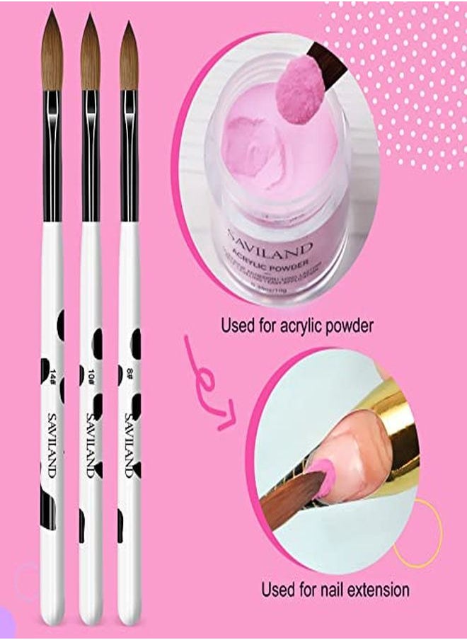 Saviland - 3Pcs Acrylic Nail Brush Set, Size 8/10/14 Kolinsky Acrylic Nail Brushes For Acrylic Application, Nail Extension With Black & White Handle For Beginner & Professional - Image 1