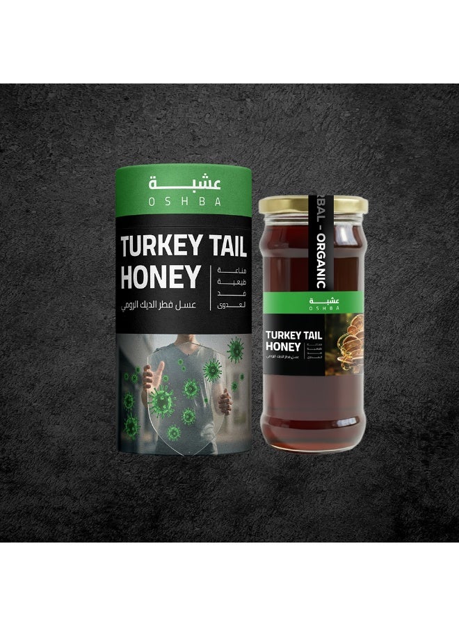 Oshba Title: Turkey Tail Mushroom Honey – The Ultimate Support for Immunity & Gut Health - Image 2