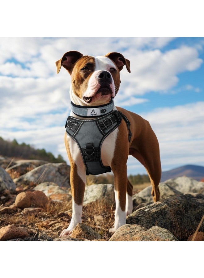 Joytale Joytale Dog Collar for Medium Dogs, Neoprene Padded and Adjustable, Reflective Wide Heavy Duty Pet Collars with Durable Metal Belt Buckle for Walking, Gray, M  - Image 3