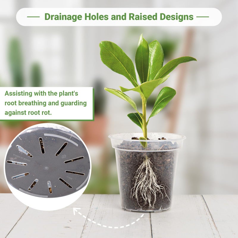 GREANER Clear Plastic Plant Pots, Plastic Planter with Drainage Holes, Nursery Pots for Indoor Outdoor with 20 Plant Labels, 12 Inch(Pack of 5) - Image 4