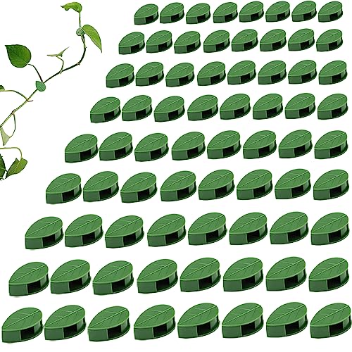 LUOTIVON 72 Pcs Plant Climbing Wall Fixture Clips, Plant Fixer Invisible Wall Vines Fixing Clips with 72 Pcs Acrylic Adhesive Sticker, Self-Adhesive Hook Plant Vine Support Holder - Image 4