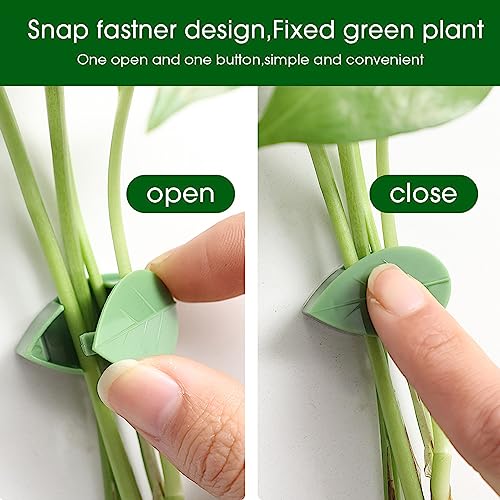 LUOTIVON 72 Pcs Plant Climbing Wall Fixture Clips, Plant Fixer Invisible Wall Vines Fixing Clips with 72 Pcs Acrylic Adhesive Sticker, Self-Adhesive Hook Plant Vine Support Holder - Image 2