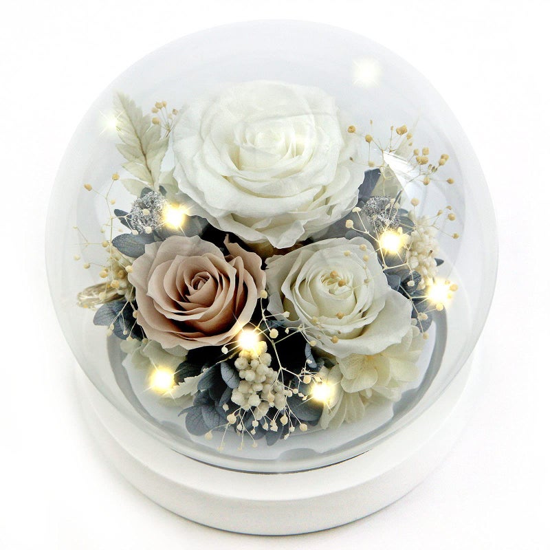 Kylin Glory Kylin Glory Forever Flowers Real Eternal Roses Preserved Flowers Gift with LED Mood Lights for Valentines Day Birthday Anniversary Elegant Present for Girlfriend Wife Mom Women Pearl White 