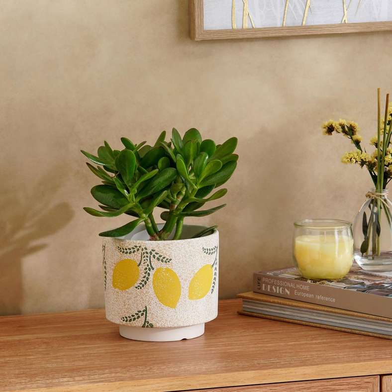 Pan Home وعاء ليميتا من الطين - أصفر