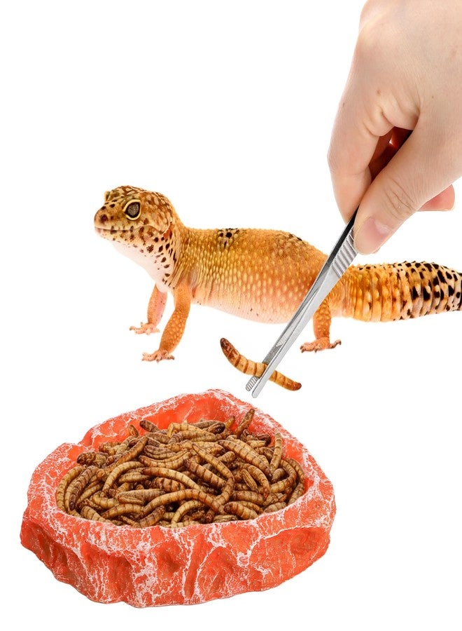 Frcctre 4 Pack Reptile Food Dish with Feeding Tongs, Resin Reptile Water Dish Food Bowl Feeding Terrarium Bowl for Leopard Gecko Lizard Tortoise Hermit Crab Bearded Dragon Chameleon, Orange - Image 3