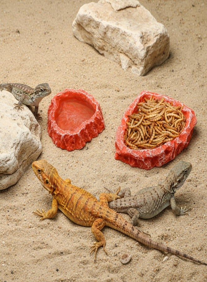 Frcctre 4 Pack Reptile Food Dish with Feeding Tongs, Resin Reptile Water Dish Food Bowl Feeding Terrarium Bowl for Leopard Gecko Lizard Tortoise Hermit Crab Bearded Dragon Chameleon, Orange - Image 5