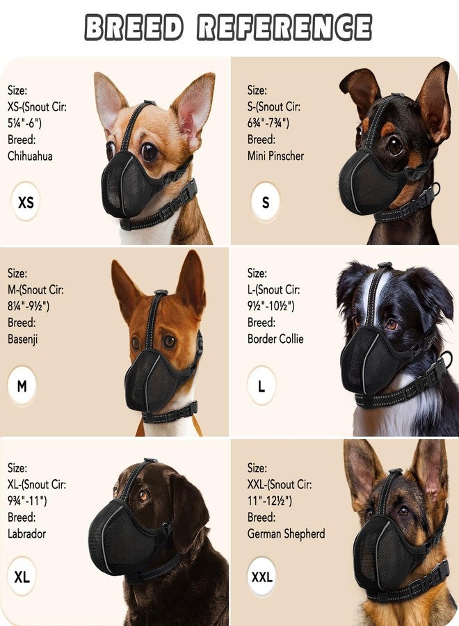 BONTHEE Dog Muzzle - Soft Breathable Mesh Nylon Adjustable Muzzle for Small Medium Large Dogs | Prevents Chewing,Biting & Scavenging | Allows Panting, Drinking & Grooming | Secure Collar Strap Design(Black M) - Image 3