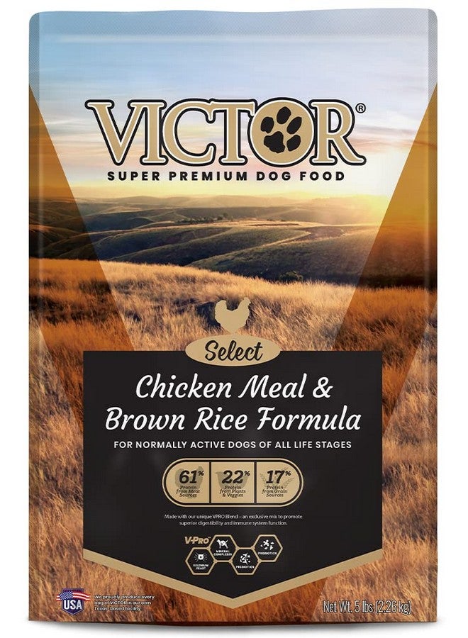 Victor Super Premium Dog Food - Chicken Meal & Brown Rice Formula - Dry Dog Food for All Normally Active Dogs of All Life Stages - Ideal for Dogs with Meat Protein Allergies, 5 lb - Image 1