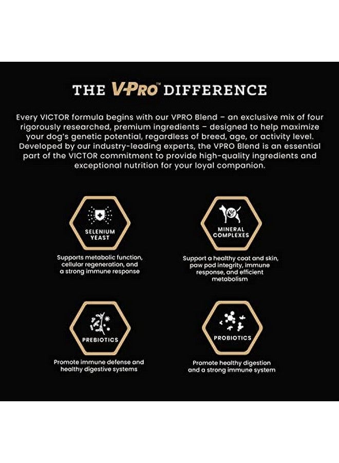 Victor Super Premium Dog Food - Chicken Meal & Brown Rice Formula - Dry Dog Food for All Normally Active Dogs of All Life Stages - Ideal for Dogs with Meat Protein Allergies, 5 lb - Image 4