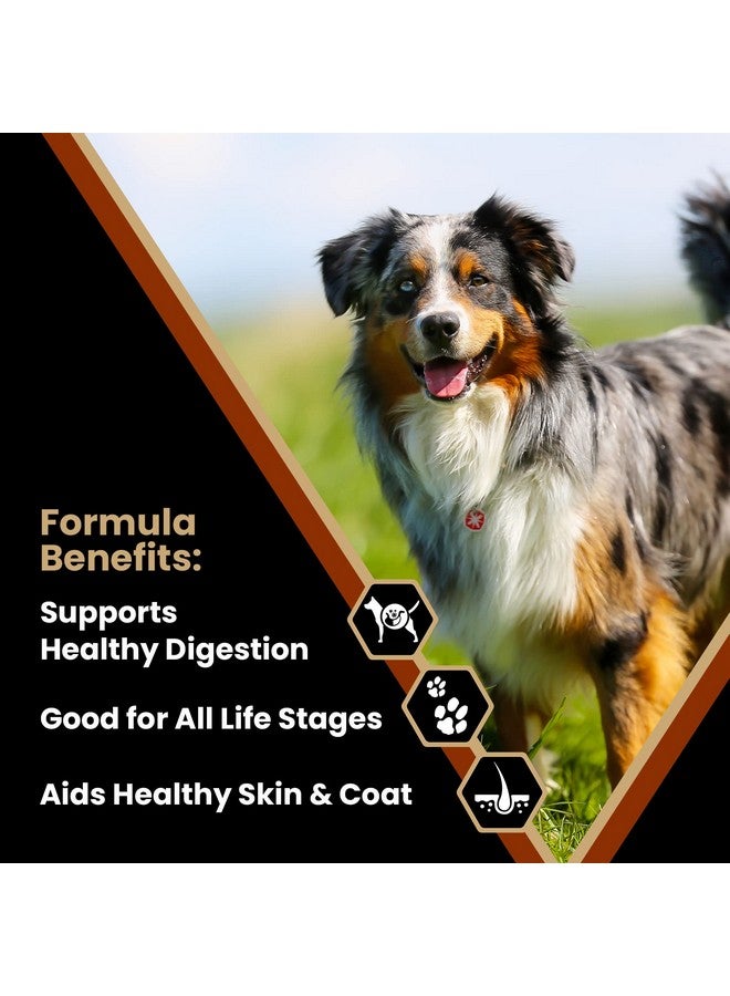 Victor Super Premium Dog Food - Chicken Meal & Brown Rice Formula - Dry Dog Food for All Normally Active Dogs of All Life Stages - Ideal for Dogs with Meat Protein Allergies, 5 lb - Image 2