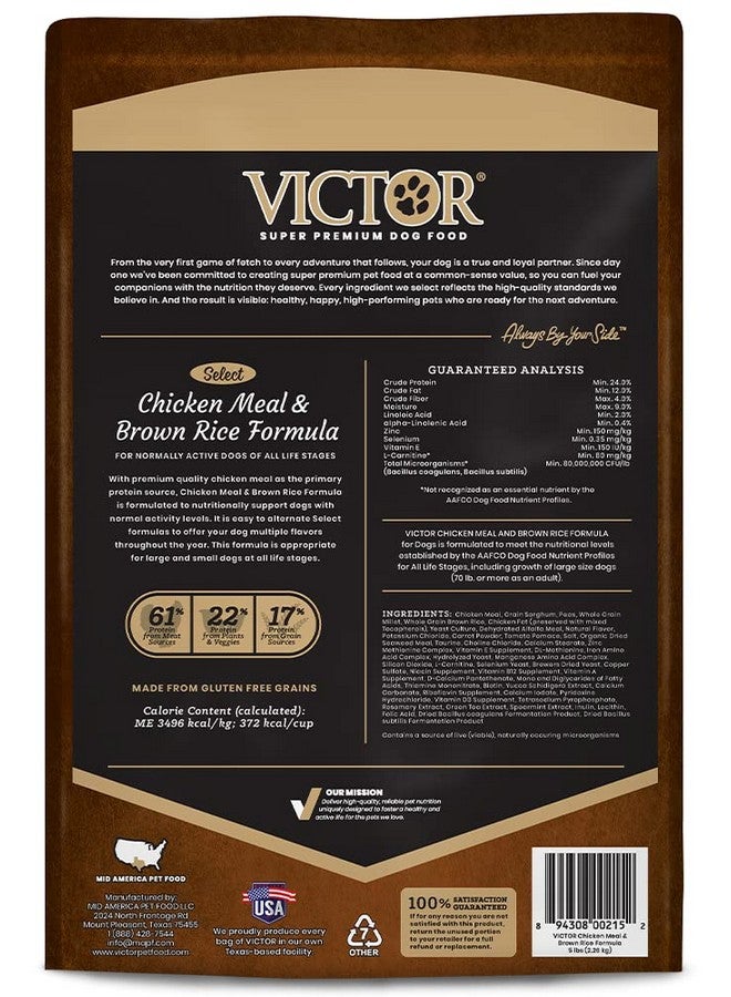 Victor Super Premium Dog Food - Chicken Meal & Brown Rice Formula - Dry Dog Food for All Normally Active Dogs of All Life Stages - Ideal for Dogs with Meat Protein Allergies, 5 lb - Image 3