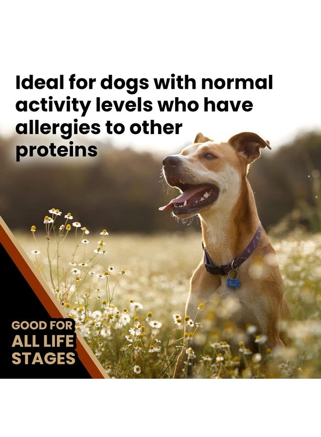 Victor Super Premium Dog Food - Chicken Meal & Brown Rice Formula - Dry Dog Food for All Normally Active Dogs of All Life Stages - Ideal for Dogs with Meat Protein Allergies, 5 lb - Image 5