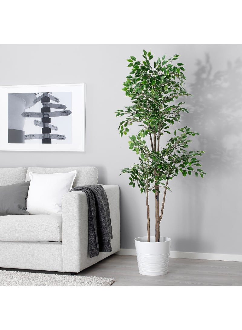 IKEA FRAKTA نبات صناعي في وعاء - 21 سم - Image 2