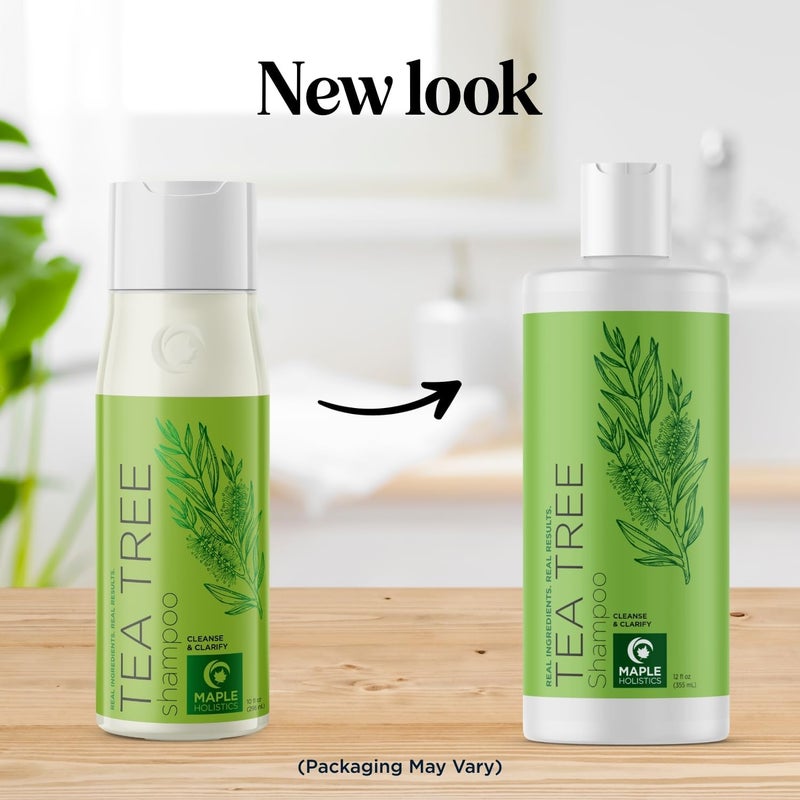 Maple Holistics Clarifying Shampoo for Build Up & Oily Hair - Tea Tree Shampoo for Men and Women with Rosemary Essential Oil for Oily Hair and Scalp - Color Safe Vegan Sulfate Silicone & Paraben Free (10 Fl Oz) - Image 5