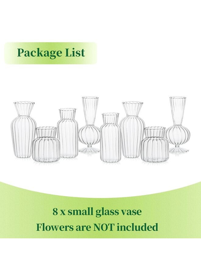 يُسلِّم مزهريات زجاجية صغيرة للقطع المركزية - مزهريات شفافة صغيرة للبراعم بكميات كبيرة، مجموعة مزهريات زهور لطيفة لحفلات الزفاف، ديكور المنزل، ديكور الطاولة (شفافة، 8 قطع) - Image 3