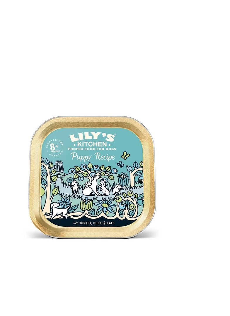 Lily's Kitchen Lily's Kitchen Turkey & Duck Recipe Puppy Wet Food 150 g  - Image 1