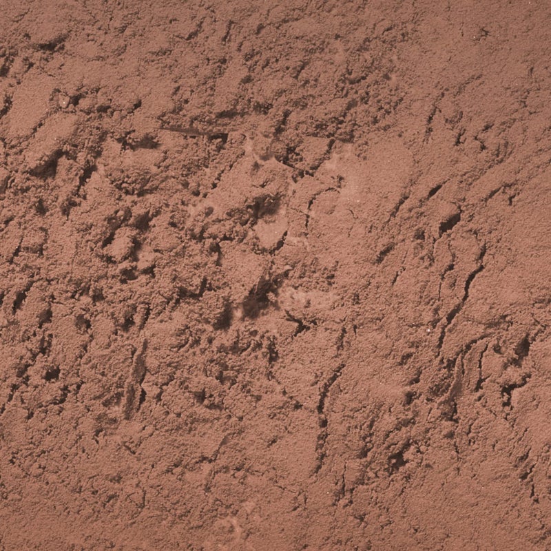 Palladio Brow Powder for Eyebrows, Soft and Natural Eyebrow Powder with Jojoba Oil & Shea Butter, Helps Enhance & Define Brows, Compact Size for Purse or Travel, Includes Applicator Brush, Dark Brown - Image 2