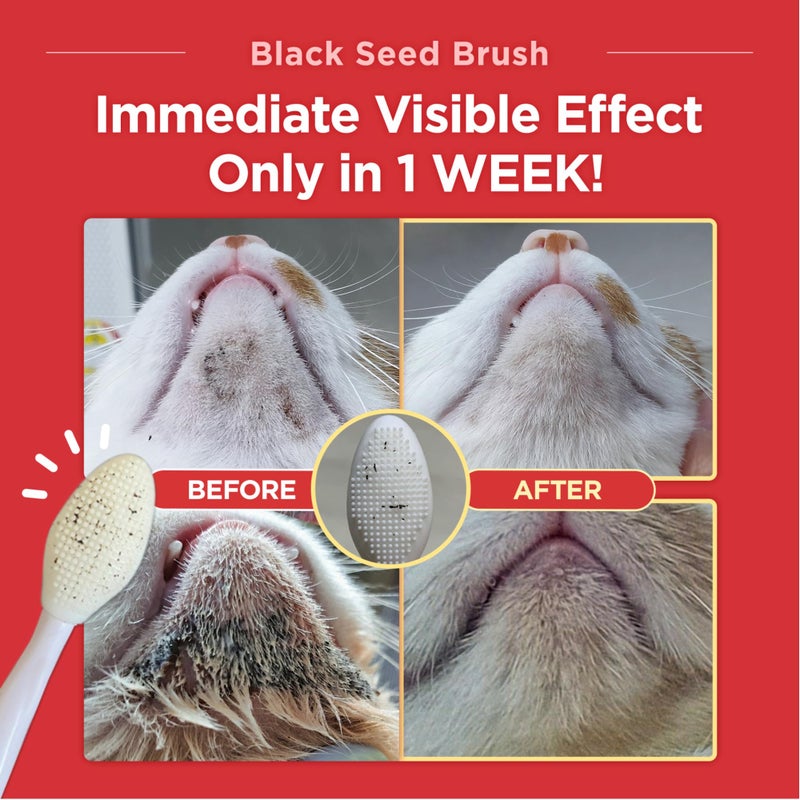 JAYU PET Black Seed Brush - Cat Grooming Brush for Chin Acne & Blackhead Exfoliation, Double-sided (1PCS) - Image 2