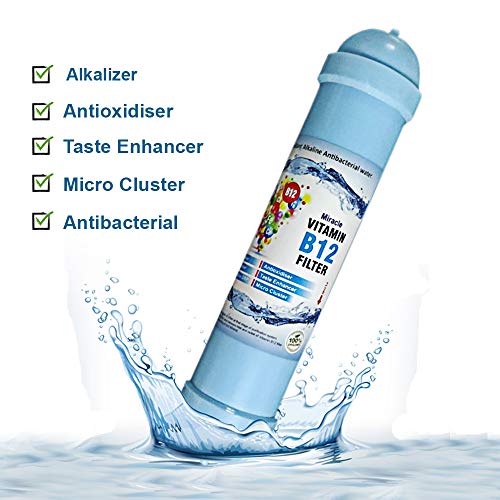 Shapure Vitamin B12 Alkaline Filter and Mineral Cartridge for RO Water Purifiers 100% Food graded ABS Plastic (B12 Filter) - Image 2