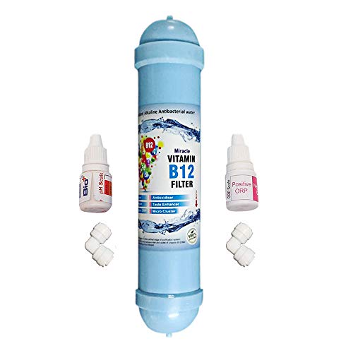 Shapure Vitamin B12 Alkaline Filter and Mineral Cartridge for RO Water Purifiers 100% Food graded ABS Plastic (B12 Filter) - Image 1