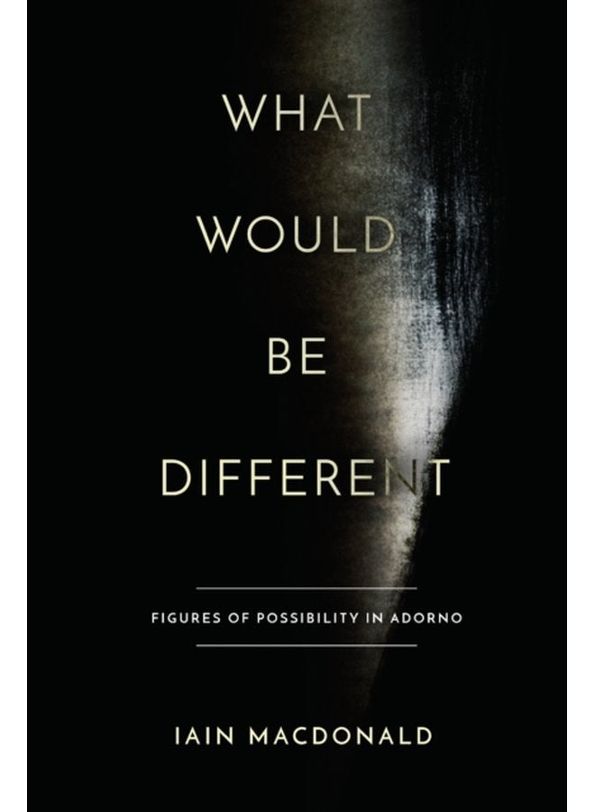 What Would Be Different Figures of Possibility in Adorno - Paperback