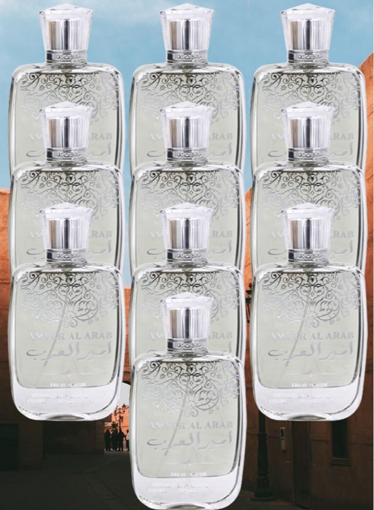 فاان 10 قطع عطر امير العرب 100 مل - Image 1