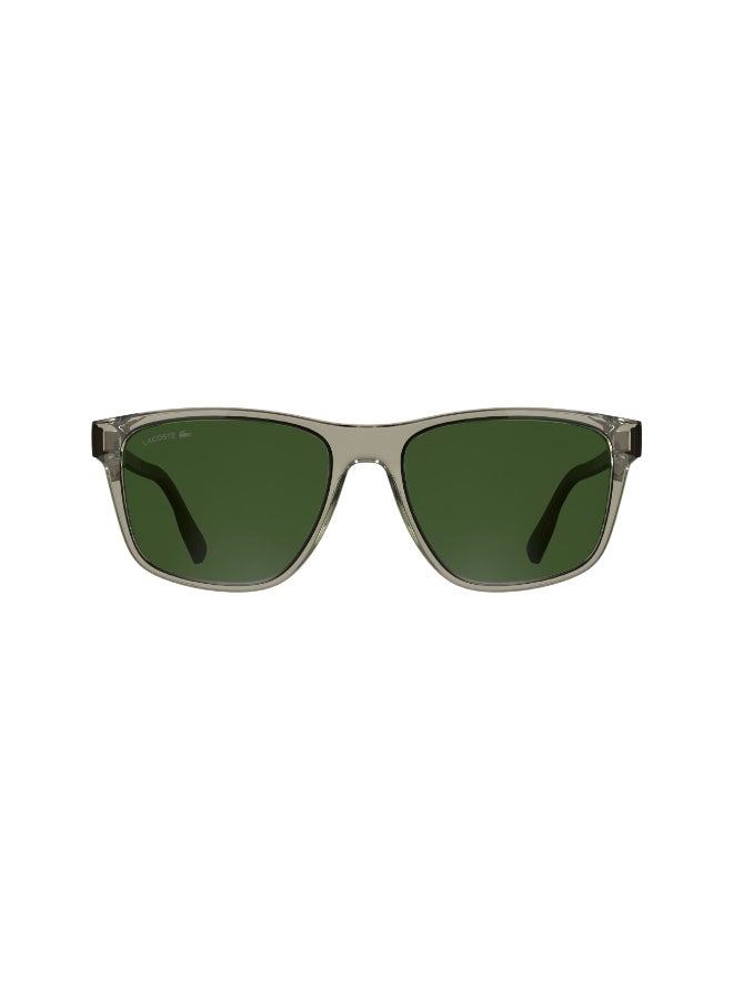 LACOSTE نظارات شمسية لاكوست كاملة الإطار L6078S 5618 (264) شفافة رملية - Image 1