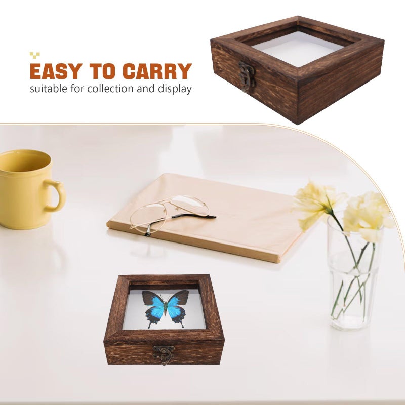 Dark Wood Shadow Box 15x15x4.5cm Insect Specimen Case For Butterfly Display Home Decor - Image 4