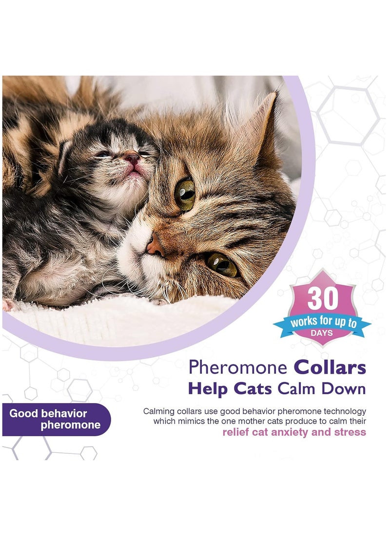 Furtey 3 Pack Calming Collar for Cats and Kittens Pheromone Collar Efficient Relieve Reduce Anxiety Stress Pheromones Calm Relaxing Comfortable Breakaway Collars Adjustable for Small, Medium Large Cat - Image 2