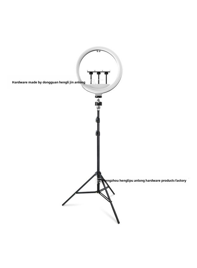 إسكدنيا معدات بث مباشر جديدة متعددة الألوان LED فائقة السطوع RGB إضاءة حلقة إضاءة تجميلية للبث المباشر ضوء التصوير الفوتوغرافي ضوء ملء الهاتف المحمول - اللون: مصباح تجميل 13 بوصة - Image 2